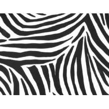 ZEBRA LYCRA