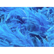 BOA STRUSIE electric blue / ocean blue